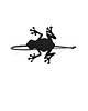 do włosów różne FrogBand 2 2