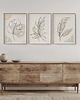 plakaty Zestaw 3 stylowych plakatów w stylu Boho, rośliny, monstera, line art. 3