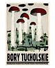plakaty Plakat Bory Tucholskie (R. Kaja) 98x68 cm 1