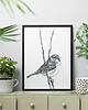 grafiki i ilustracje Wróbelki 21x30 - zestaw dwóch grafik 1