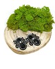 kolczyki soutache Czarno-srebrne kolczyki sutasz - kolekcja Angel 5