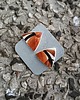 kolczyki ceramiczne Kolczyki ceramiczne Włocławek 1