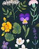 plakaty Plakat botaniczny "Edible flowers" 30x40cm 3