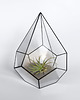 doniczki Szklarnia nr 1 Czarna Terrarium, donica, wazon 3