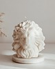 świeczniki i świece Świeca sojowa Lion 1
