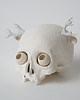 figurki i rzeźby Ceramiczna czaszka MIMI 4