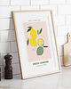 plakaty Plakat z owocami "Cytryny" 1