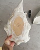 pojemniki na biżuterię Ceramiczna Muszla 5