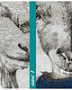 obrazy Obraz - Kozłowscy- Kozia rodzina 120x80cm 3