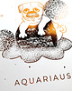 plakaty Plakat złocony - Mops Aquariaus 3