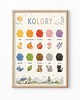 obrazy i plakaty do pokoju dziecięcego Plakat edukacyjny KOLORY dla chłopca 1
