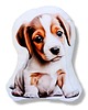poduszki do pokoju dziecka Poduszka piesek przytulanka szczeniak jack russel maskotka jack russel 1