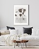 grafiki i ilustracje Dzika marchew / Fine Art Print 3