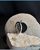 wisiory SCENTED SILVER  3