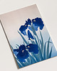 plakaty Plakat- Niebieskie Irysy 3