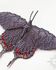 broszki Nocny motyl I, brosza, beading 1