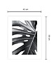 plakaty Monstera Plakat 1