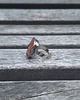 pierścionki - różne Cegła - pierścionek regulowany 1