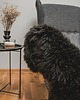 dywany Skóra Owcza Naturalna Czarna EKO Dywan Wełna Owcza 2