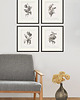grafiki i ilustracje Zestaw Grafik Botanicznych Vintage  9