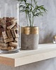 regały i półki Półka w naturalnej okleinie dębowej 4