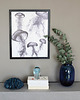 plakaty Plakat Meduzy roz. 61x91 cm 1