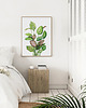 plakaty Plakat Calathea 1