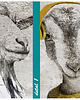 obrazy Obraz - Kozłowscy- Kozia rodzina 120x80. 3