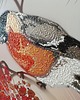 grafiki i ilustracje Zimowy Gość 3