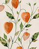 plakaty 3 ilustracje botaniczne | 50x70 cm 1