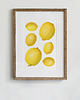 plakaty Plakat- Cytryny 1