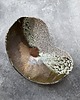 patery i talerze Patera FASOLKA *Deep into the sea ok.31 cm 5