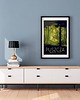 plakaty Plakat PUSZCZA BIAŁOWIESKA 1