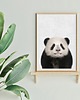 obrazy i plakaty do pokoju dziecięcego Plakat Panda - Plakat do pokoju dziecka 5