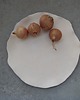 patery i talerze Patera 2