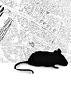 broszki FeltMouse 2