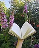 notatniki i albumy Szkicownik  'Łąka'  300g 3