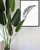 plakaty Plakat Botaniczny 1
