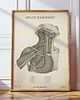plakaty Plakat Splot Ramienny Vintage 3