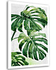 obrazy Obraz na płótnie LIŚCIE MONSTERA 80x120cm 2