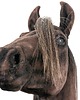 zabawki - inne Realistyczny Hobby Horse ciemny kasztan/balejaż 5