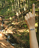 bransoletki srebrne Nature Forever 7