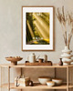 fotografia PLAKAT Komorebi japoński natura fotografia las 3