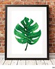 grafiki i ilustracje PLAKAT MONSTERA LIŚCIE BOTANICZNY z monsterą 1