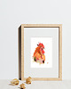 obrazy Oryginalna akwarela. Kogut 2