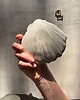 pojemniki na biżuterię Handmade Muszelka na Biżuterię Ceramiczna Pearl White 5