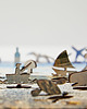 puzzle dla dzieci Jezioro Wanaka 4