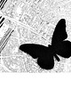 broszki FeltButterfly 6 2