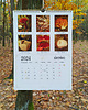 kalendarze i plannery Kalendarz z grzybami MYKOTERAPIA 2024 Z OPISEM GRZYBÓW A3 grzyby 4