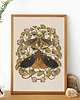 grafiki i ilustracje Moths & Maidenhair Fern, ćmy plakat, plakat botaniczny, adiantum, 1
